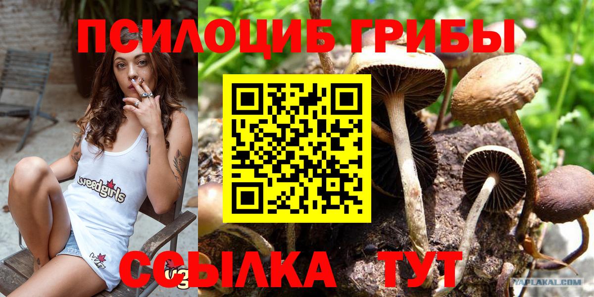 Добрянка  Псилоцибиновые грибы мухоморы  Вход с VPN 