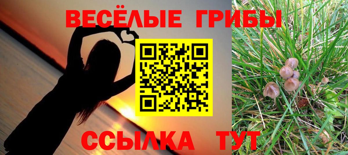 Галлюциногенные грибы Magic Shrooms Добрянка